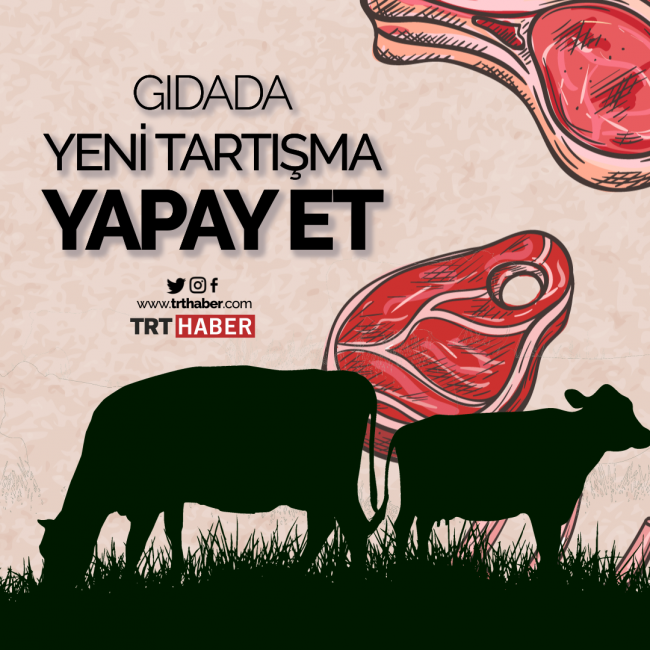 Türkiye’de tüketiciler ve kasaplar yapay ete ‘sıcak’ bakmıyor